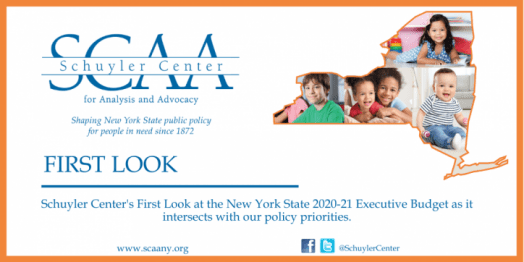 Schuyler Center’s FIRST LOOK at the New York State 2020-2021 Executive Budget