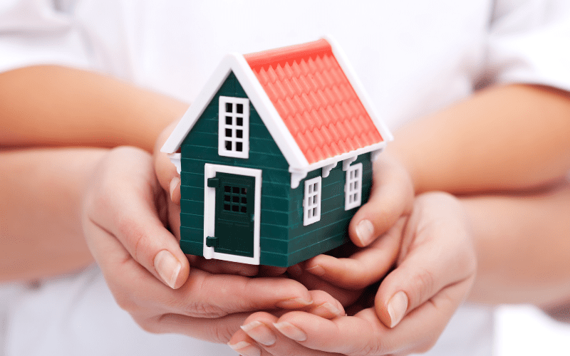 Making Connections: Home Visiting and the Social Determinants of Health